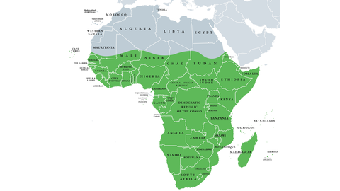 Landkarte vom Kontinent Afrika, wo die Region Subsahara Afrika gekennzeichnet ist.