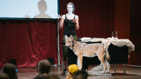 Das Bild zeigt die Referentin, die eine Vorlesung über Wölfe gehalten hat. Vor ihr steht ein ausgestopfter Wolf.