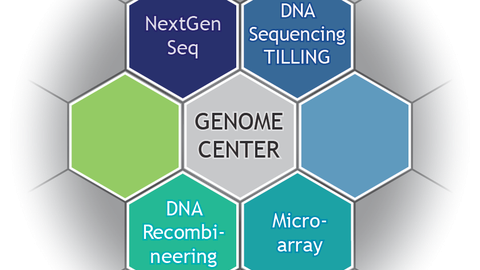 Logo Genome Center