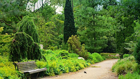 Zu sehen, ist ein Park