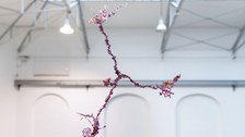 Aljoscha: extraterrestrial origin of life (2022); Installationsansicht der Intervention in der Galerie der Kustodie im Görges-Bau, TU Dresden