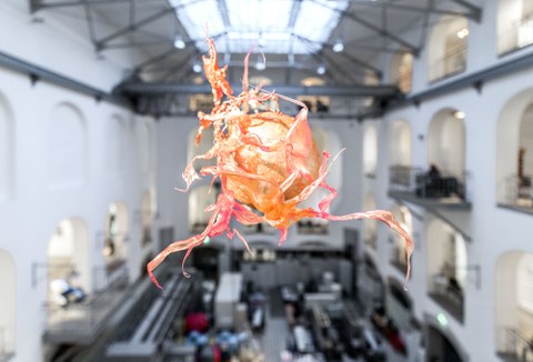 Aljoscha: extraterrestrial origin of life (2022); Installationsansicht der Intervention in der Galerie der Kustodie im Görges-Bau, TU Dresden