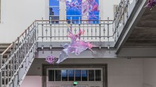 Aljoscha: extraterrestrial origin of life (2022); Installationsansicht der Intervention in der Galerie der Kustodie im Görges-Bau, TU Dresden