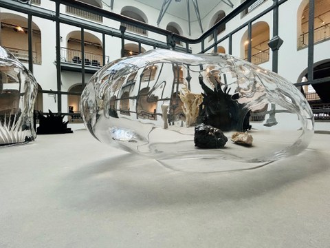 Blick in die Ausstellung "S+T+ARTS Ec(h)o Showing" mit einer Detailansicht von "Surrogate Spunk" von Johanna Bruckner