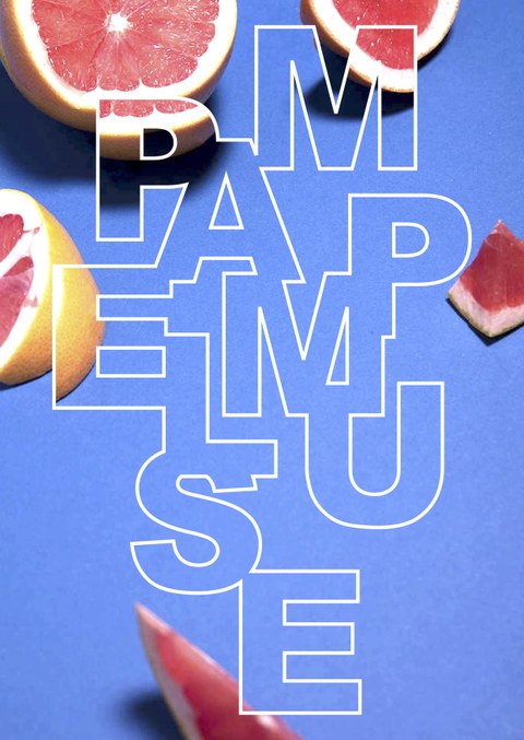 Pampel Muse