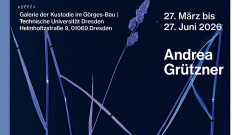 Andrea Grützner, Ausstellung Rasenstücke, TUD, 2026