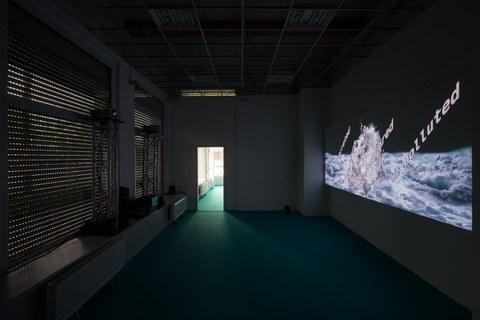 Tabita Rezaire, 2019