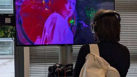 Rückenansicht einer Person, die sich auf einem Bildschirm eine Videoinstallation anschaut.