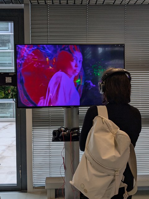 Rückenansicht einer Person, die sich auf einem Bildschirm eine Videoinstallation anschaut.