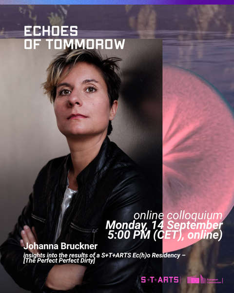 S+T+ARTS Online Colloquium: Johanna Bruckner
