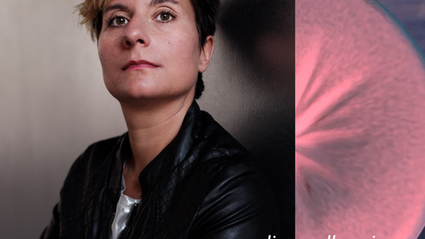 S+T+ARTS Online Colloquium: Johanna Bruckner