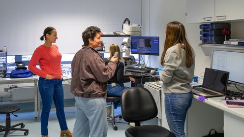 Drei Personen sprechen in einem Labor des Helmholtz-Zentrum Dresden-Rossendorf