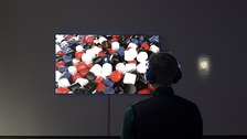 Ausstellungsansicht