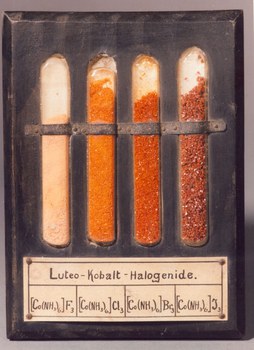 Anschauungsbeispiel von vier Hexaamincobalt(III)-Halogeniden aus der Sammlung Anorganische Chemie der TU Dresden