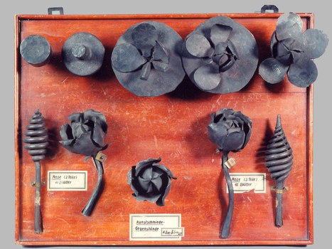 Lehrtafel zum Kunstschmieden von Rosen, um 1880 (TU Dresden, Mechanisch-Technologische Sammlung)