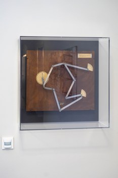 Werke von Petra Kasten und Exponate aus den Sammlungen der Kustodie im Rektorat