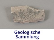 Geologische Sammlungen