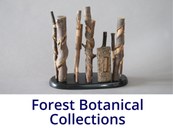 Forest Botanical Collection 