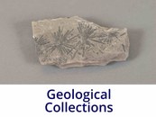 Geological Collections 