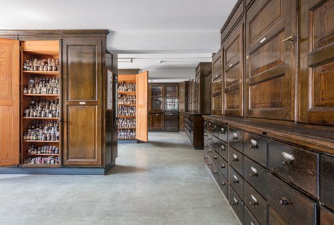 Blick in die Farbstoffsammlung der TU Dresden im historischen König-Bau