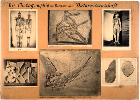 Krone-Lehrtafel „Die Photographie im Dienste der Naturwissenschaft“