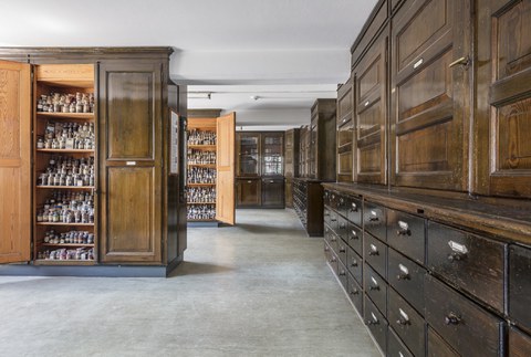 Ein Blick in die historischen Sammlungsräume der Farbstoffsammlung an der TU Dresden