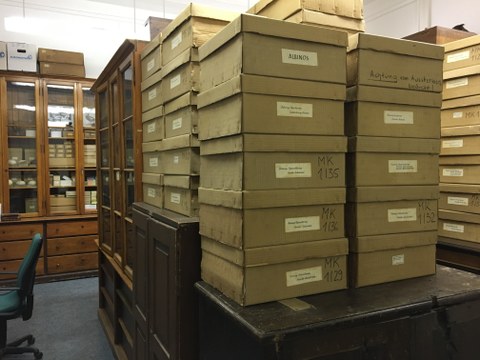 View of a collection storage room