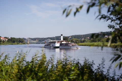 Raddampfer im Elbtal