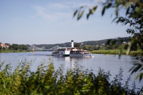Steamboat in the Elbe valley
