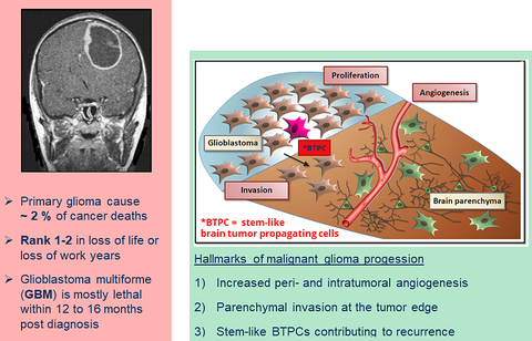 TOPIC BRAIN NEOPLASIA