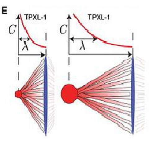 Fig.4 taken from Greenan et al, 2010.