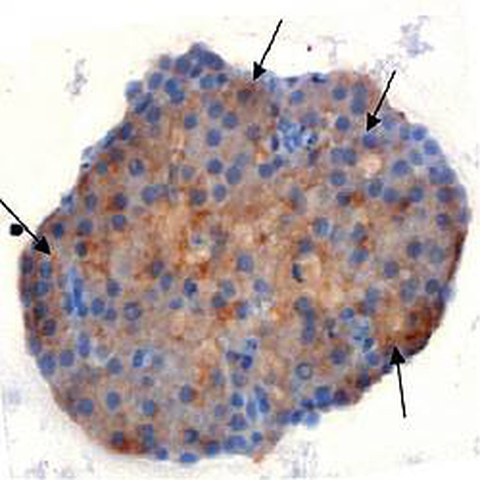 Fig.5 taken from Ludwig et al, 2010