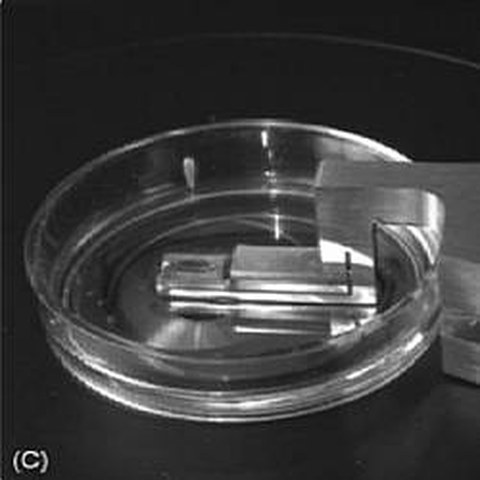 Fig.7 taken from McDonald et al, 2010