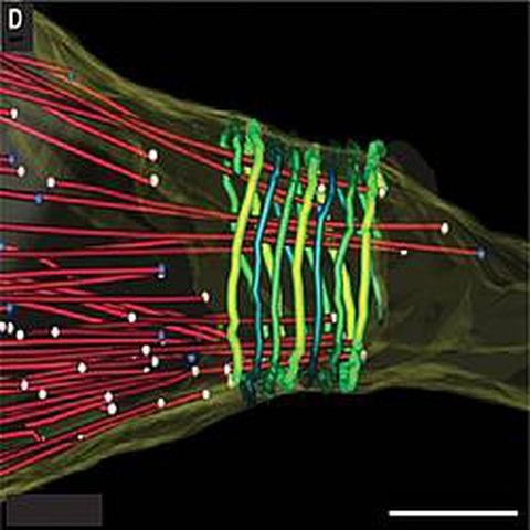 Fig.3 taken from Redemann et al, 2013