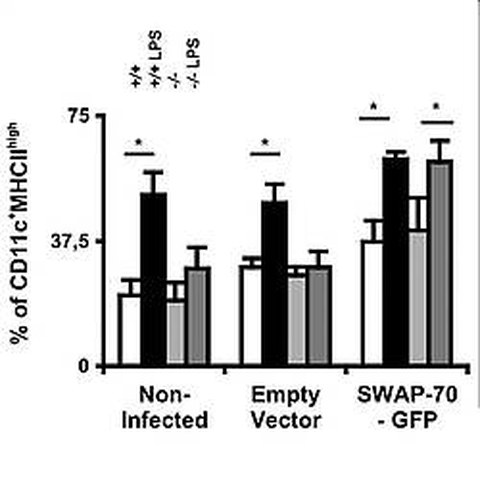 Fig.2 Ocana-Morgner et al, 2009.