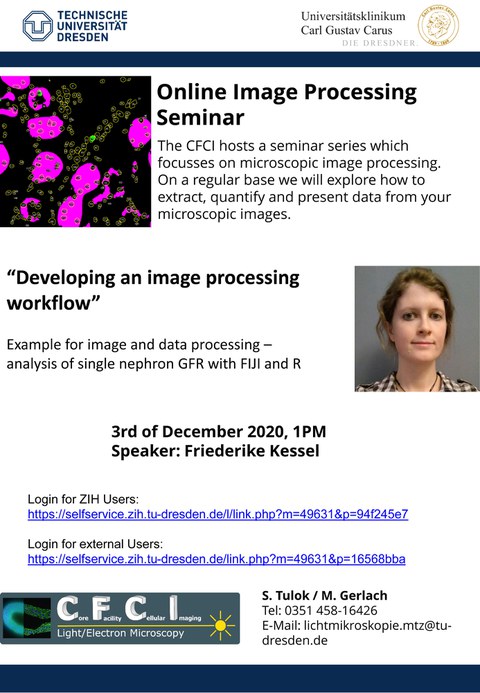 Flyer zum Seminar
