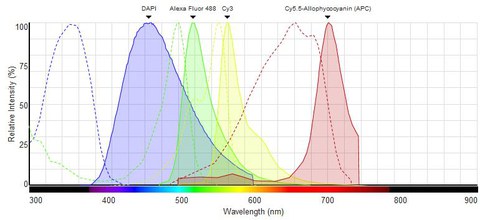 SpectraViewer