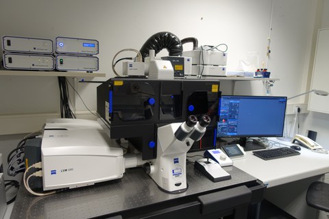 Zeiss LSM 880 mit Airyscan