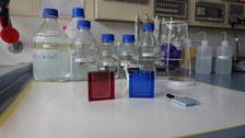Poststaining and Goldstaining