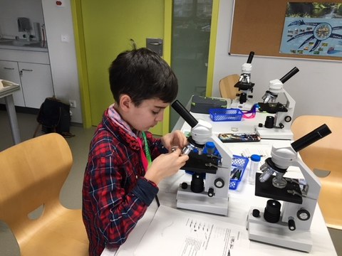 Arbeit mit dem Mikroskop