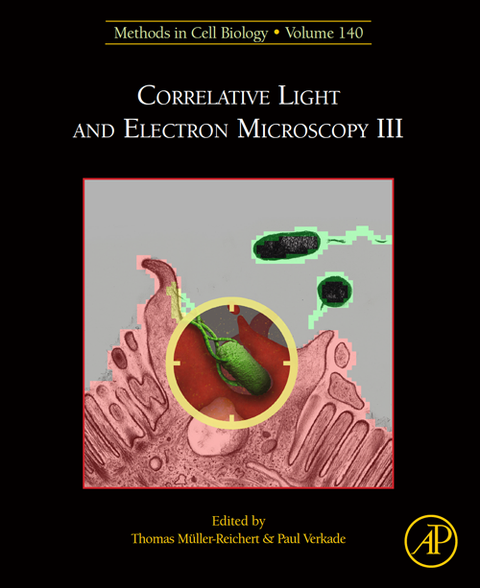 Correlative Light and Electron Microscopy III