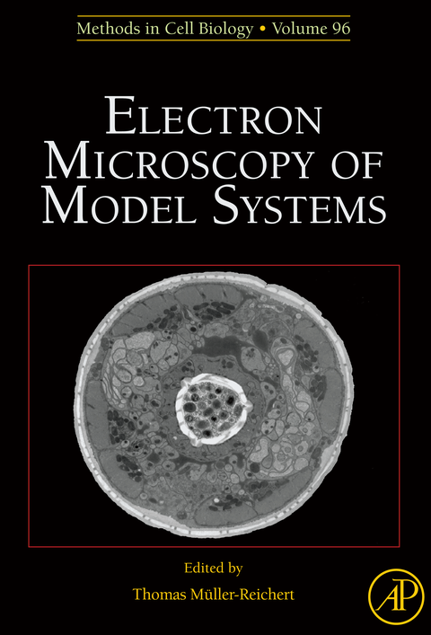 Electron Microscopy of Model Systems