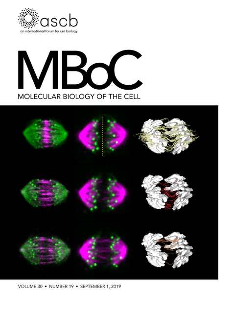 Cover MBoC Vol30 - Number 19 - September1, 2019