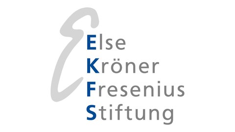 Logo_EKFS_grau_rgb