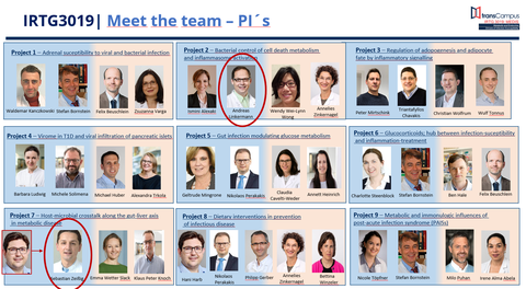 PI Profiles.png