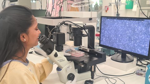 Mikroskopiearbeit