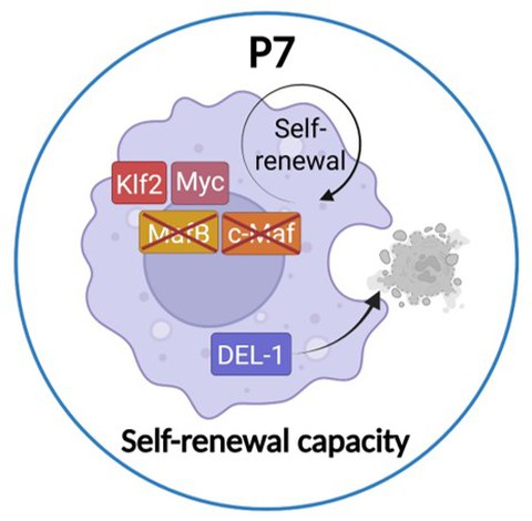 Teilprojekt 7