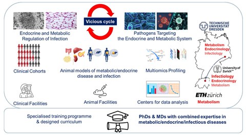 Overview-Complementary scientific expertise amd infrastructure.jpg