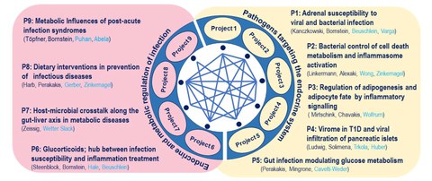 Overview scheme Projects IRTG3019.jpg