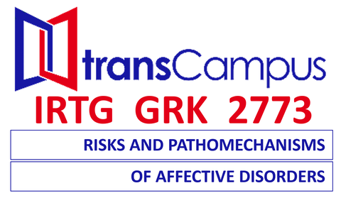 Logo IRTG 2773